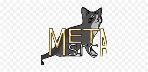 metasrc|metasrc download.